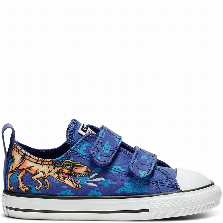 Dino beach party converse deals